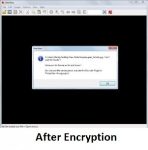 jpg_file_after_encryption-300x260