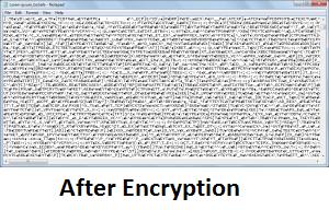 txt_file_after_encryption-300x153